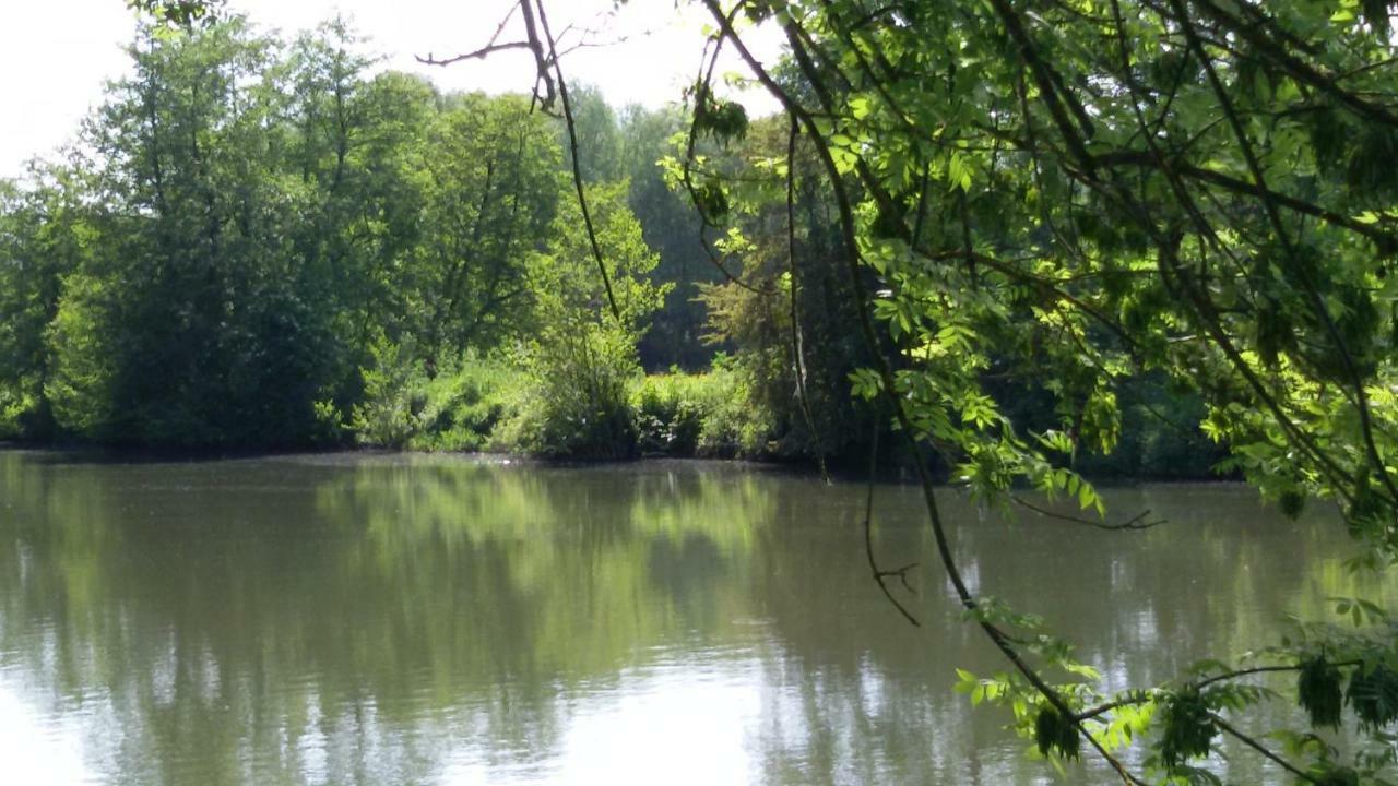 Manoir Des Turets Panzió Yvré-lʼÉvêque Kültér fotó