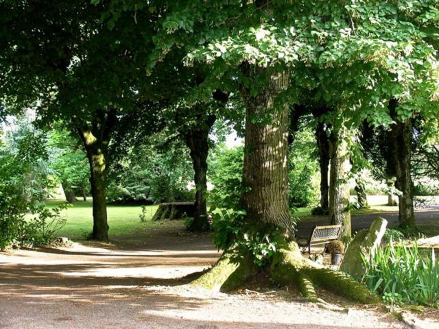 Manoir Des Turets Panzió Yvré-lʼÉvêque Kültér fotó